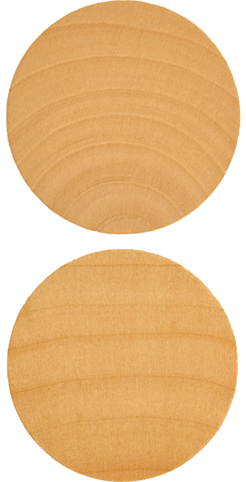 Ball Marker Disc 1.png